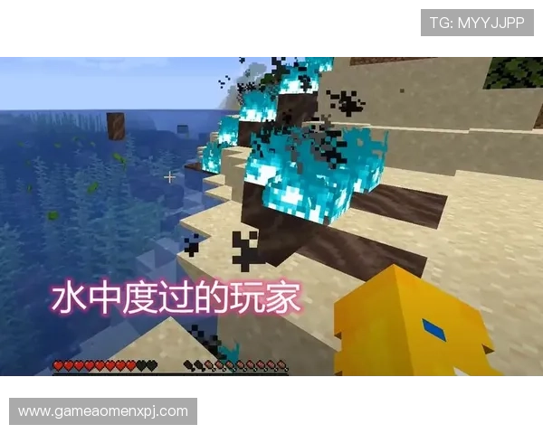 探索葡京新电子官网登录入口的多种登录方式确保玩家快速进入游戏世界