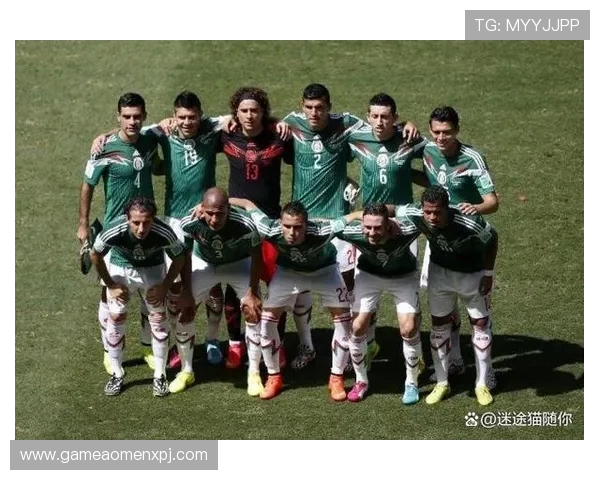 2026年世界杯南非队最新大名单公布，球员实力与战术布局详解